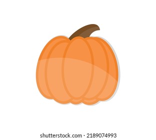 Realistischer Kürbis, Nahaufnahme des Logo-Designs. Elemente für Herbstdekoration, Vektordesign und Illustration.