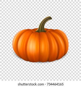 Realistic pumpkin closeup isolated on transparency grid background. Halloween Symbol. Design template, stock vector illustration, eps10