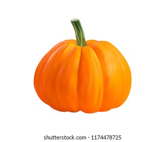 Realistic pumpkin fruit with vector illustration. Design for culinary products, seasoning packages, recipe websites, cooking books etc