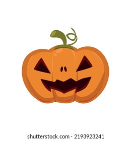 Realistic pumpkin for the holiday halloween on a white background - Vector illustration