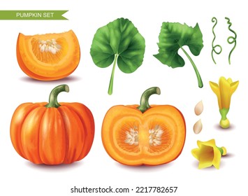 Realistic pumpkin icons set with cut fruits seeds and leaves isolated vector illustration