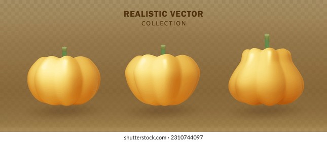 Realistic pumpkin isolated. 3d halloween orange pumpkin set various shapes. Thanksgiving and Halloween holiday vector design element