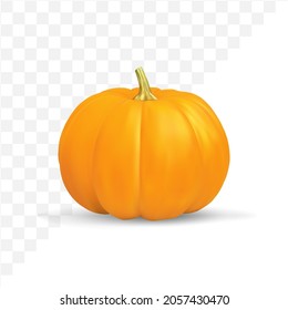 realistic pumpkin isolated on transparent background.