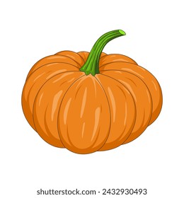 Realistic pumpkin isolated on a white background. Pumpkin for Halloween. Vector illustration.