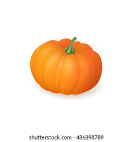 Realistic pumpkin isolated on white background. Bright orange vegetable. Vector illustration. EPS 10.