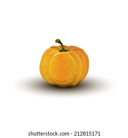 realistic pumpkin on Halloween isolated