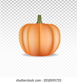 realistic pumpkin on transparent background