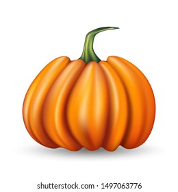 Realistic pumpkin on white background. Orange pumpkin.