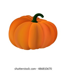Realistic pumpkin on a white background. Bright tasty pumpkin. Orange symbol of Halloween. Autumn vegetable. Vector illustration EPS 10.