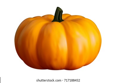 Realistic pumpkin on white background. Vector set.