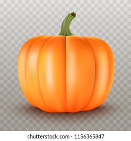 Realistic Pumpkin.Halloween decoration.Vector illustration