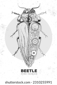 Realistic and punk style beetle illustration. Beetle silhouette with gears. Vector illustration