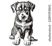 Realistic puppy vector, hand drawn animal illustration puppies
