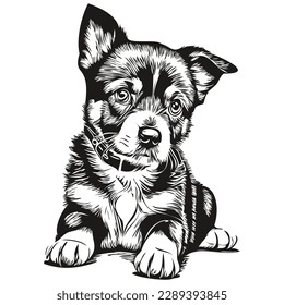 Realistic puppy vector, hand drawn animal illustration puppies
