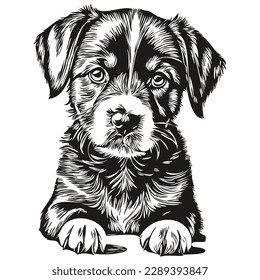 Realistic puppy vector, hand drawn animal illustration puppies
