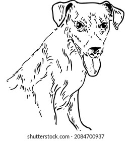 Realistic purebred dog with protruding tongue sketch vector illustration