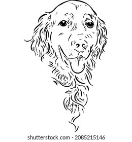 Realistic purebred dog sketch vector illustration hand draw