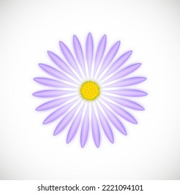 Realistic Purple Aster Flower. Floral Vector Illustration. Isolated on White Background.