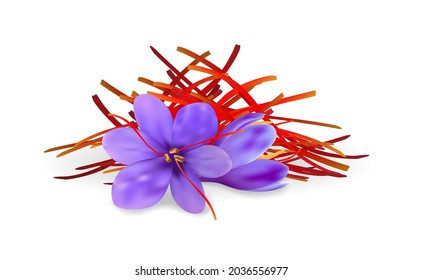 Realistic purple crocus flowers with saffron pestles pile. Dried spice threads illustration.