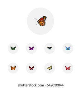 Realistic Purple Monarch, Bluewing, Morpho Hecuba And Other Vector Elements. Set Of Moth Realistic Symbols Also Includes Blue, Swallowtail, Green Objects.