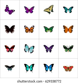 Realistic Purple Monarch, Callicore Cynosura, Checkerspot And Other Vector Elements. Set Of Beauty Realistic Symbols Also Includes Bluewing, Hairstreak, Brown Objects.