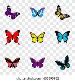 Realistic Purple Monarch, Callicore Cynosura, Bluewing And Other Vector Elements. Set Of Beauty Realistic Symbols Also Includes Butterfly, Beautiful, Beauty Objects.