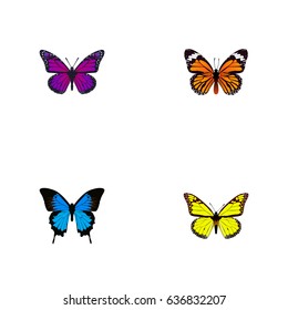 Realistic Purple Monarch, Common Blue, Archippus And Other Vector Elements. Set Of Moth Realistic Symbols Also Includes Butterfly, Monarch, Orange Objects.