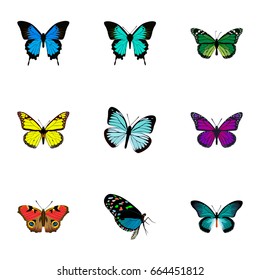 Realistic Purple Monarch, Copper, Common Blue And Other Vector Elements. Set Of Butterfly Realistic Symbols Also Includes Hairstreak, Cypris, Green Objects.