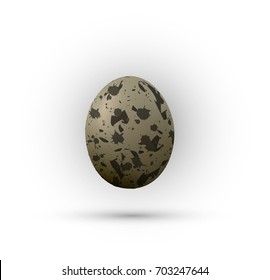 realistic quail egg on the white background, vector
