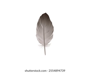 Realistic quill feathers for pen detailed isolated vector. Realistic Quill Feathers Vector - Detailed Feather Illustration for Pen and Writing Tools