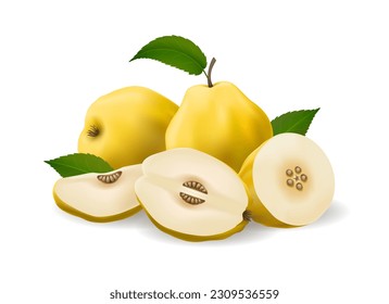 Realistic quince bunch. Isolated whole half and slice apple quinces vector illustration, ripe yellow fruits with green leafs 3d natural dessert