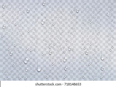 Realistic rain drops on the transparent background. Vector