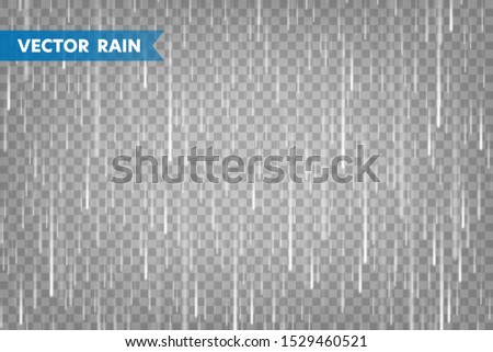 Realistic rain texture on transparent background. Rainfall, water drops effect. Autumn wet rainy day. Vector illustration.