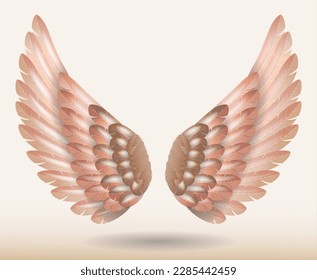 realistic rainbow angel wings isolated - 3d illustration