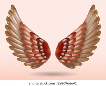 realistic rainbow angel wings isolated - 3d illustration