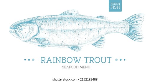 Realista ilustración vectorial de trucha arco iris. Diseño de menús de marisco