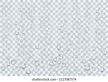 Realistic Raindrop On Transparent Background Vector Stock Vector ...