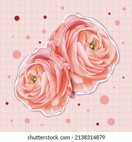 Realistic ranunculus. Delicate flower ranunculus. Fresh bunch ranunculus. Vector icon illustration flat cartoon style. Isolated vector illustrations on white background.
