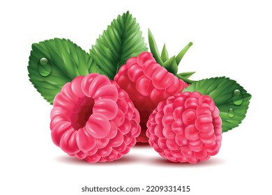 Realistic raspberry composition with fresh ripe berries and grean leaves on white background vector illustration