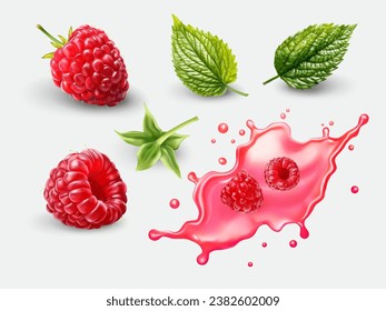 Realistic raspberry fruit with leaf and splash vector set on white background
