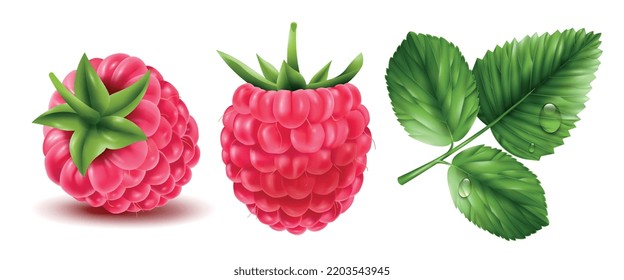 Realistic raspberry icons set with berries and leaves on white background isolated vector illustration