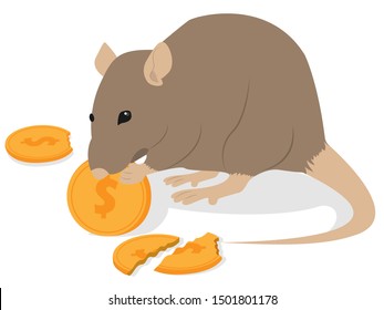 Realistic rat biting coins on a white background.