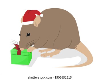 Realistic rat in christmas hat with gift on a white background.