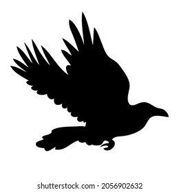 Realistic raven vector silhouette for icon. Hand drawn style