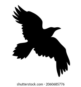 Realistic raven vector silhouette for icon. Hand drawn style