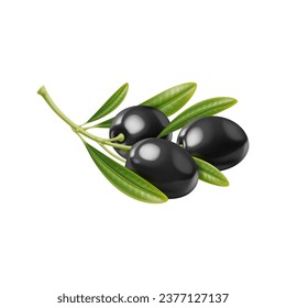 Realistic raw black olives isolated branch with leaves for extra virgin olive oil and vegetable food, 3D vector. Raw olives branch harvest for organic farm food cuisine and natural cosmetic products