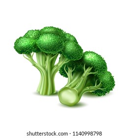 Realistic raw broccoli cabbage. Ripe green vegetable full of nutritions and vitamins, juicy fresh cooking ingredient. Vector 3d healthy vegetarian natural food, organic agriculture symbol