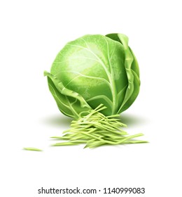 Realistic raw cabbage. Ripe green vegetable full of nutritions and vitamins, juicy fresh cooking ingredient. Vector 3d healthy vegetarian natural food, organic agriculture symbol