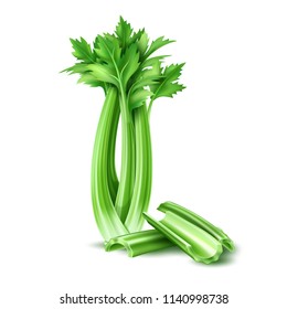 Realistic raw celery leaves. Ripe vegetable full of nutritions and vitamins, juicy fresh cooking ingredient. Vector 3d healthy vegetarian natural food, organic agriculture symbol