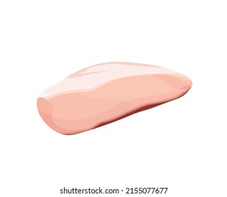 Realistic Raw chicken fillet vector illustrations in flat style. Chicken breast Isolated on white background
